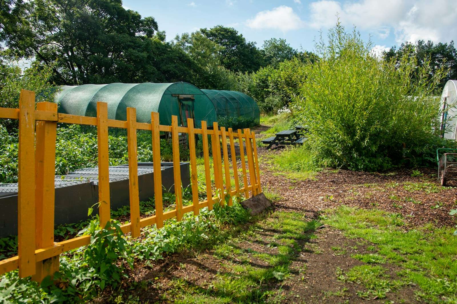 An inviting garden with raised beds and greenhouses